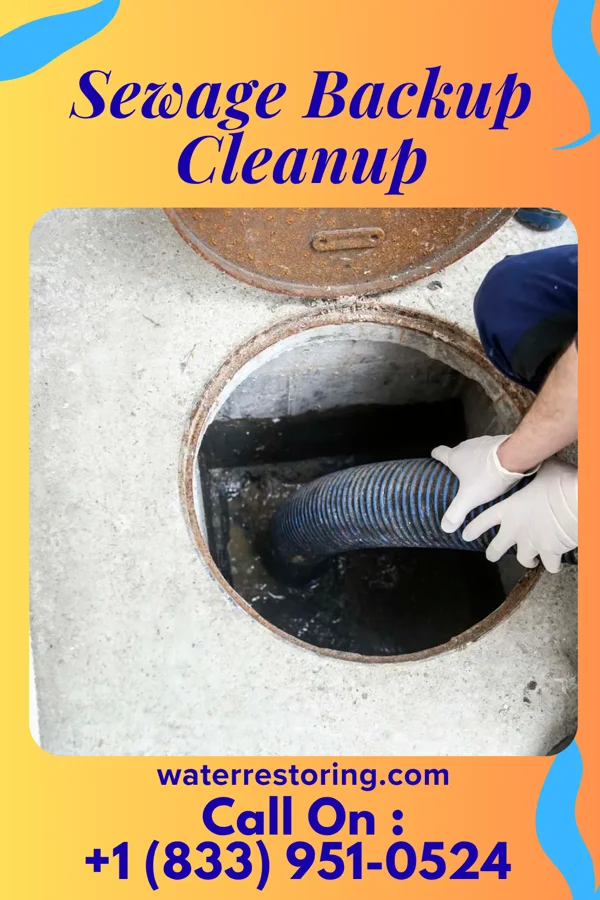 Sewage Backup Cleanup in Richfield, KS